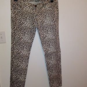 Leopard Print Pants